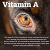 Vitamin A