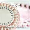 27: Forever - Lauren Emily Whalen