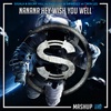 Sigala x Becky Hill vs Rudeejay x Da Brozz vs Twin Lee - Nanana Hey Wish You Well (Da Sylva mashup)