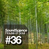 Flashback: House of Soul #36