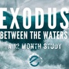 Episode 206: Exodus 24 - The Cross