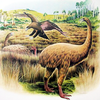 Episode 34: Flying Purple People Eater: Extinct Giant Raptors of New Zealand (Haast's Eagle, Eyles's Harrier)
