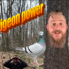 Episode 51: Pigeon Power (Rock Dove Part 2) 
