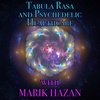 Episode 225: Tabula Rasa and Psychedelic Healthcare with Marik Hazan