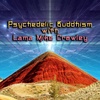 Episode 240: Psychedelic Buddhism with Lama Mike Crowley