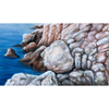 Episode 364: Painting Rocks