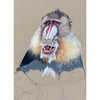 Episode 375: Drawing a Baboon