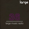 Large Music Radio 36 mixed by Jeff Craven
