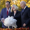 Party Politics: Thanksgiving Edition