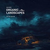Max River - Organic Landscapes: Put The Lights On