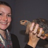 The PrimateCast #47: Talking Cold-blooded Cognition and Conservation with Dr. Anna Wilkinson