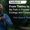 The PrimateCast #70: Dr. Karen Strier on weaving between theory and practice in behavioral ecology and conservation