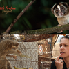 The PrimateCast #46: Talking Loris Venom and Conservation with Dr. Anna Nekaris