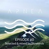 Episode 60 - Selected &amp; Mixed by Slowbirds