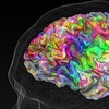 New Map of Meaning in the Brain Changes Ideas About Memory