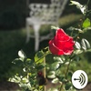 001 - What Love Looks Like