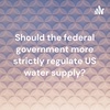 Should the United States build a high speed rail system?