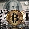 Is Bitcoin Dead??? Crypto Market Review