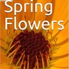 Spring Flower Volume 5 Wild by Daniel Lucas