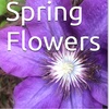 Spring Flowers Volume 34 Delicate by Daniel Lucas