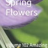 Spring Flowers Volume 102 Amazing by Daniel Lucas