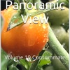 Panoramic View Volume 9 Consummate by Daniel Lucas