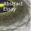 Abstract Essay Volume 277 Primordial Black Hole