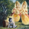 26. Krishna brings the trees down