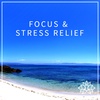 #2 FOCUS & STRESS RELIEF - 15 MINUTE IMMERSIVE GUIDED MEDITATION 🙏