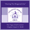 BG 28: The Yoga of Self Control (part 1): The Srimad Bhagavad Gita: Ch 6 v1 - v7