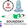303. Warning! Experience Lucid Dreaming with this Binaural Music and Reiki Bells | SoundSky White Noises