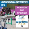 Ep12: The Rate of Progression in Your Agility Training - Too Fast? - Too Slow?