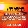 RELY ON ALLAH? TIE YOUR CAMEL FIRST (HADITH) - ISLAMIC PERSPECTIVE