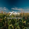 Encuentros Rentables | Innovando en el sur: maíz de baja densidad sobre suelos someros