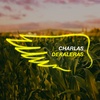 Charlas Dekaleras | Aplicaciones de glifosato en post emergencia en maíces con tecnología VTPRO4