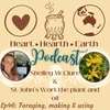 Ep. 46 St John's Wort, Seasonal Foraging, Oil Making and Use