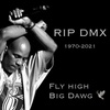 Episodes 69 DMX sleep in peace.