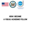 How I Became A Yseali Academic Fellow