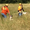 Let’s talk NSTRA! The National Shoot to Retrieve Field Trial Association.