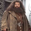 Interview With Hagrid