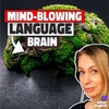 The Amazing Language Learning Machine Inside Your Head Ep 579