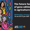 The future faces of gene editing in agriculture
