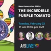 New Generation GMOs: The incredible purple tomato