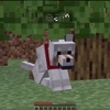 Dream as a Minecraft Dog