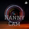 The Nanny Cam-Pumice Rock