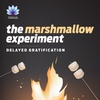 The Marshmallow Experiment