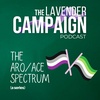 Episode 2: Hylax: Aromanticism, and Discovering Who You Are (Aro/Ace Spectrum Series) (The Lavender Campaign Podcast)