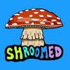 Shroomed - Ep 2 Mushroom Podcast with Dave From Dopey | Psychedelics Ibogaine Story | Addiction | Sober, Mycology, Opioids, Alcoholism, Heroin 