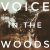 S4 E6 - Voice in the Woods