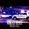 S4 E7 - The Winged Beast of Woodstock